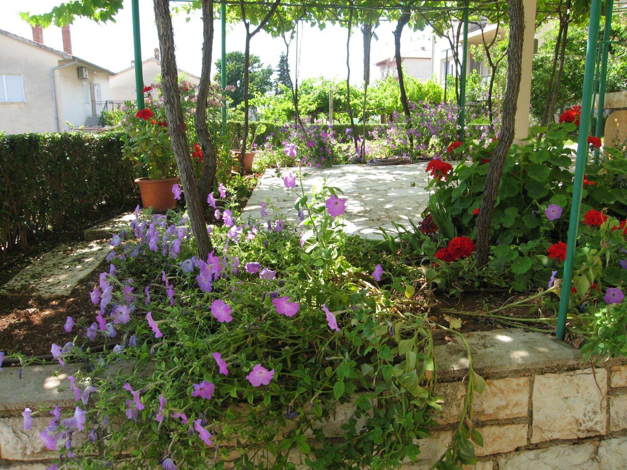 1 Guest house