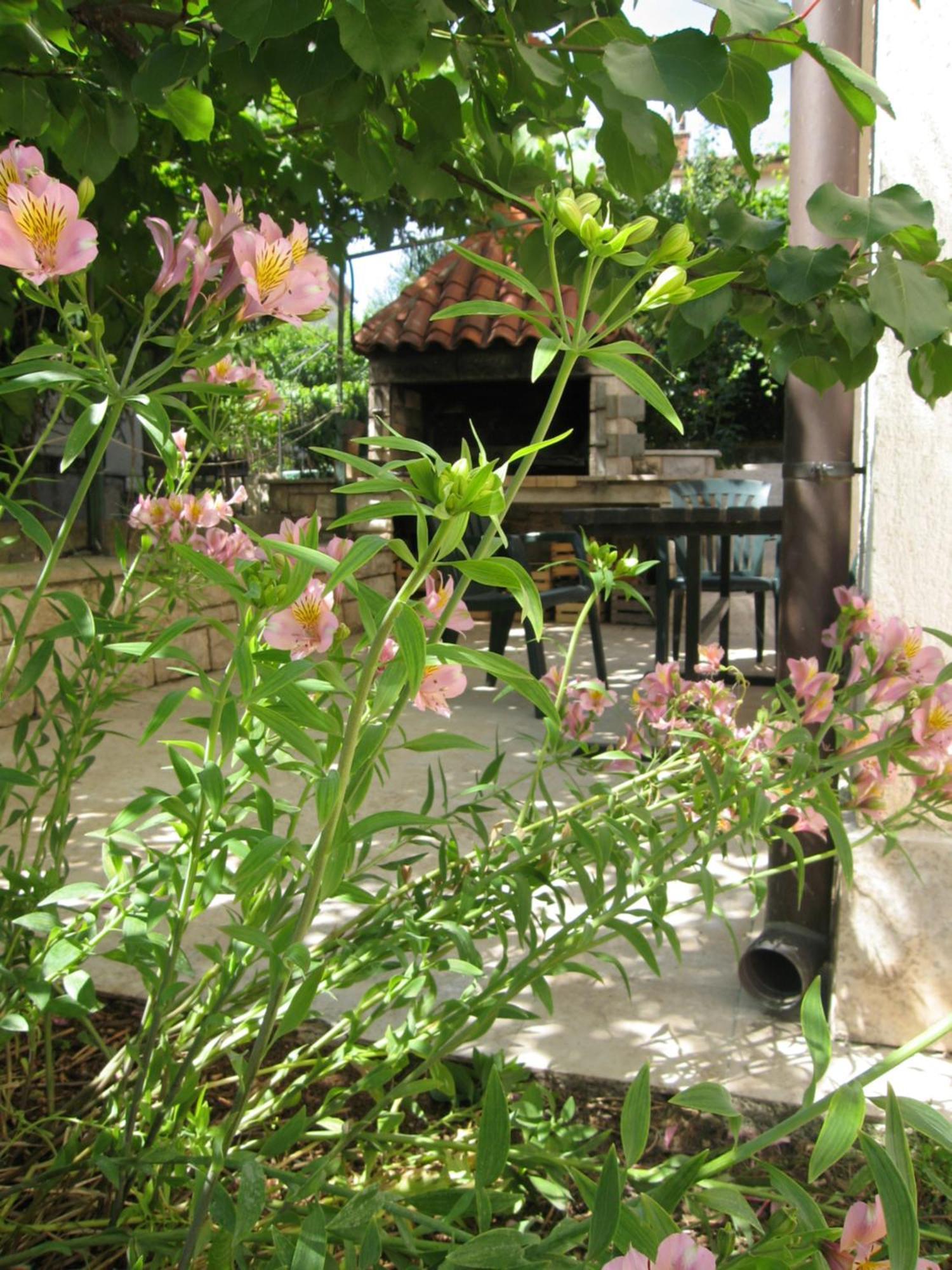 1 Guest house *